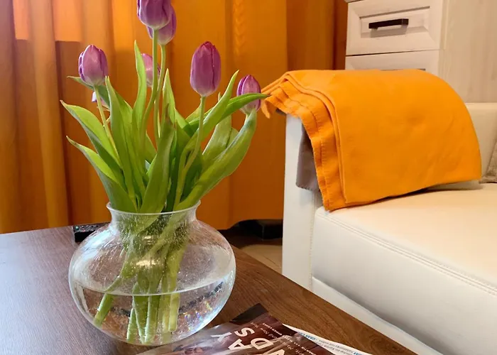 Mitten In Der Altstadt * Koblenz