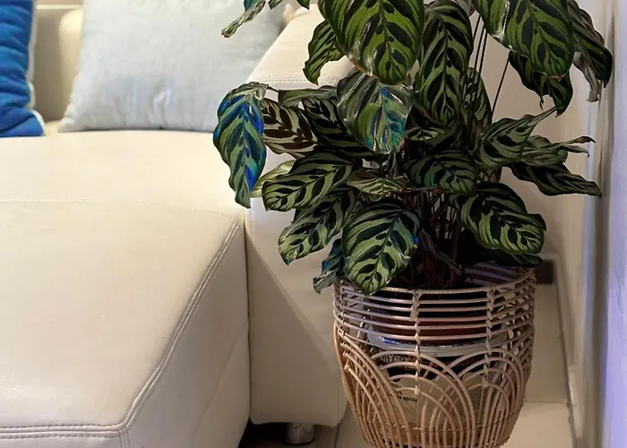 Apartamento Mitten In Der Altstadt Coblença